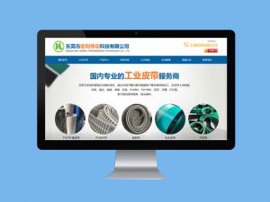 熔噴機網(wǎng)帶-網(wǎng)絡(luò)營銷外包